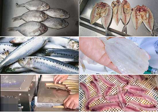FGB-168 Small-fish fillet machine（3 fillets）