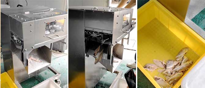 FGB-168 Small-fish fillet machine（3 fillets）
