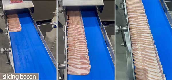 XQPJ-160 Continuous Fresh Meat Slicer