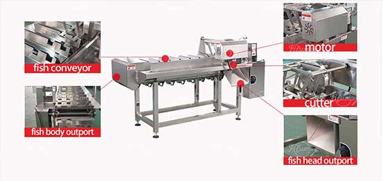 Fish head cutting machine fish sardine fish head cutter