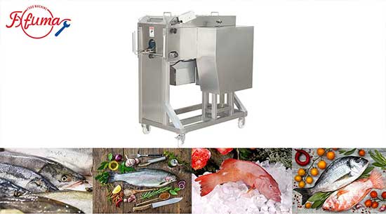FGB-170 Automatic Fish Butterfly Fillet Machine (2 fillets)