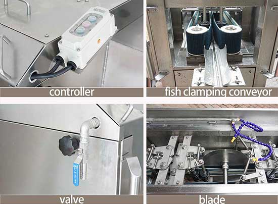 FGB-170 Automatic Fish Butterfly Fillet Machine (2 fillets)