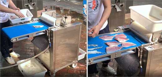 FQS-400 Fish peeler machine tilapia skin removing machine