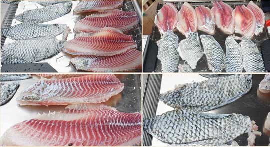 FGB-400 Fish skinning machine fish skin peeling machine