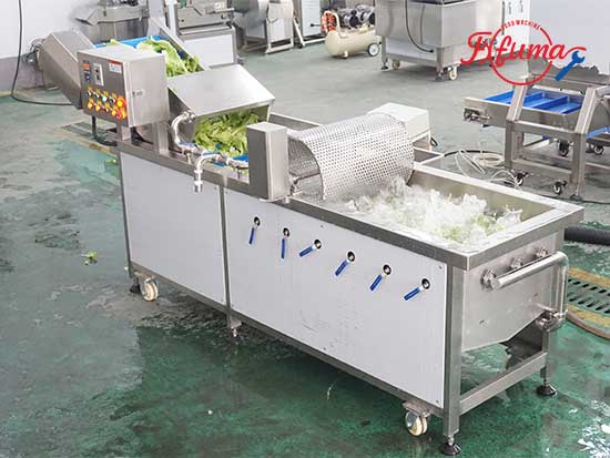 WA-1000 Commercial Vegetable Washer with Impurity Removal Drum