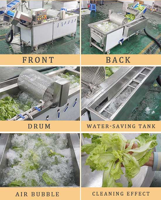 WA-1000 Commercial Vegetable Washer with Impurity Removal Drum