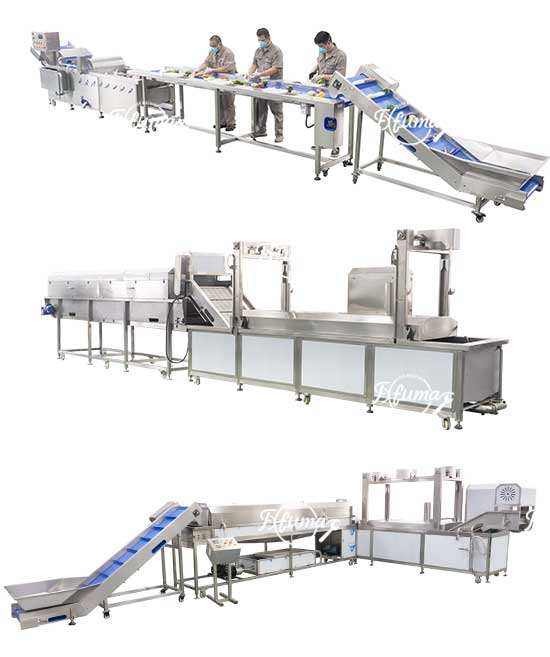 WA-2000 Fruit Vegetable Washing Machine with High Pressure Spray