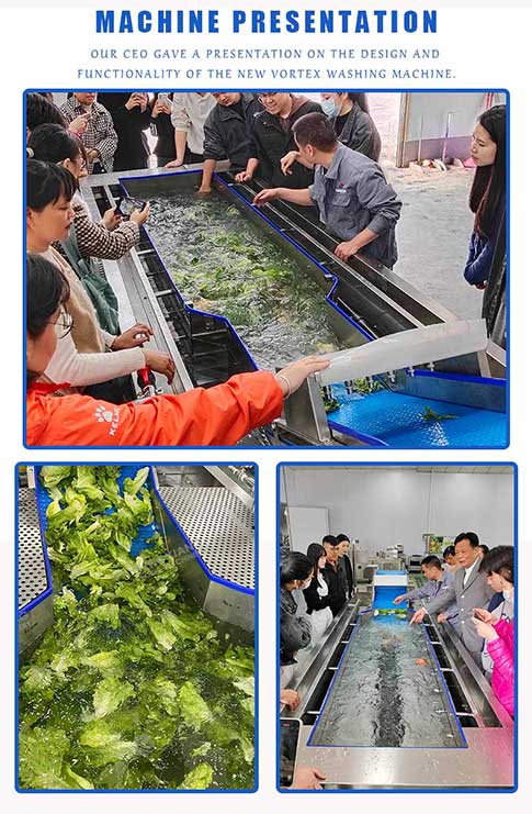New Vortex Vegetable Cleaner Machine with Four Washing Mode