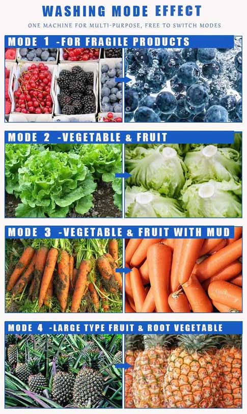 New Vortex Vegetable Cleaner Machine with Four Washing Mode