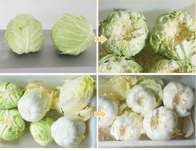 ELectric Cabbage Corer