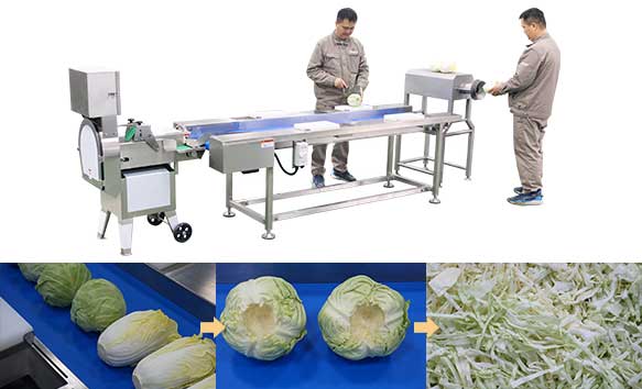 ELectric Cabbage Corer