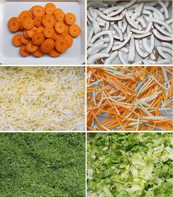 FC-305D Vegetable Shredder Slicer Strips Cutter Machine Electric