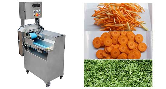 FC-305D Vegetable Shredder Slicer Strips Cutter Machine Electric