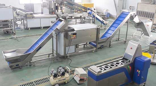 Commercial Potato Process Solution-Washing,Peeling,Cutting