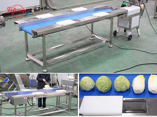 Commercial Cabbage Processing Solution-Coring and Shredding