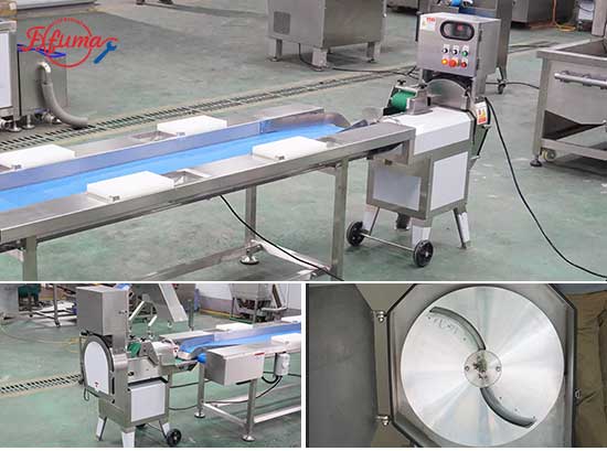 Commercial Cabbage Processing Solution-Coring and Shredding