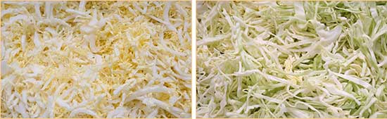 Commercial Cabbage Processing Solution-Coring and Shredding