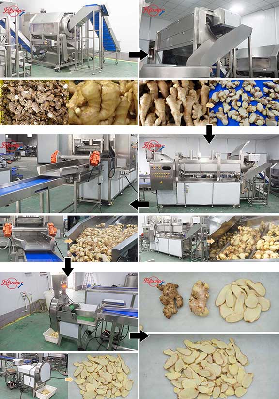 Automatic Ginger Turmeric Processing Machines - Washing, Peeling, Blanching, Draining, Slicing