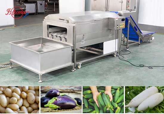 Root Vegetable Carrot Raddish Brush Washer Machine with Elevator and Tank
