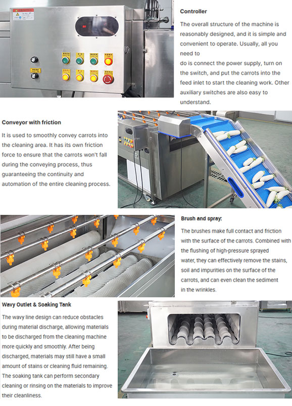 Root Vegetable Carrot Raddish Brush Washer Machine with Elevator and Tank