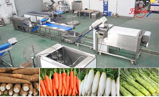 Carrot Processing Line - Washing, Cutting and Peeling Machine