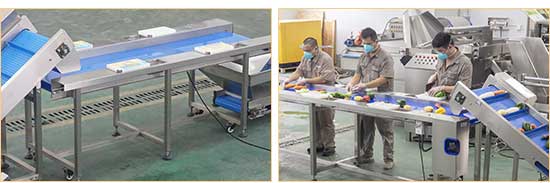 Carrot Processing Line - Washing, Cutting and Peeling Machine