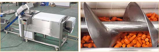 Carrot Processing Line - Washing, Cutting and Peeling Machine