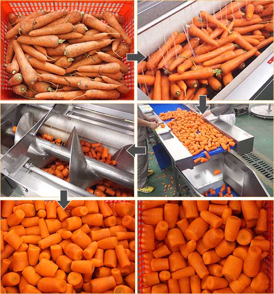 Carrot Processing Line - Washing, Cutting and Peeling Machine