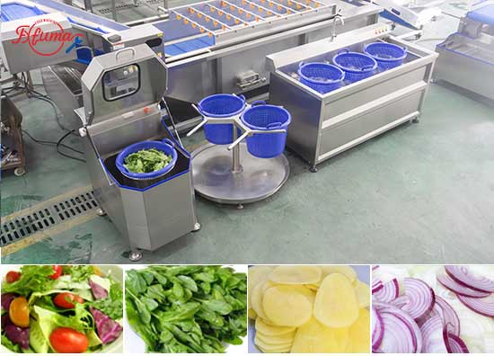 Compact Vegetable Salad Ultrasonic Cleaning Line - Washing and Dehydrator