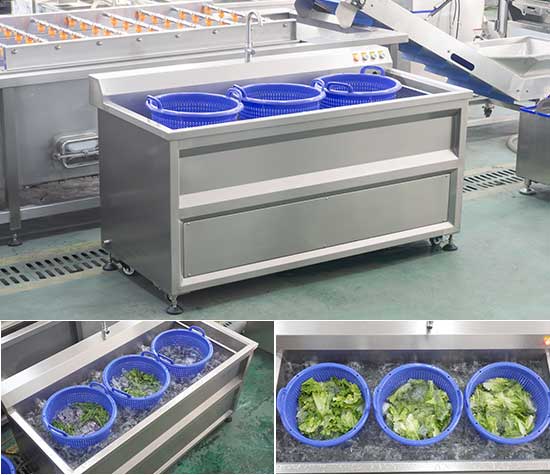 Compact Vegetable Salad Ultrasonic Cleaning Line - Washing and Dehydrator