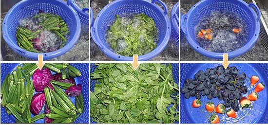 Compact Vegetable Salad Ultrasonic Cleaning Line - Washing and Dehydrator