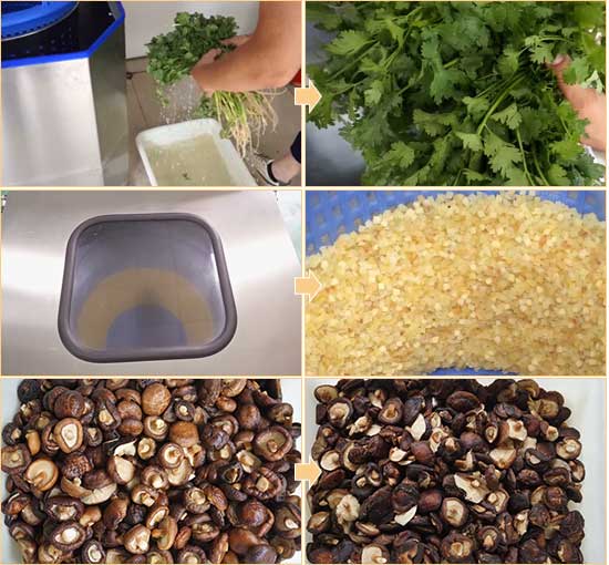 Compact Vegetable Salad Ultrasonic Cleaning Line - Washing and Dehydrator
