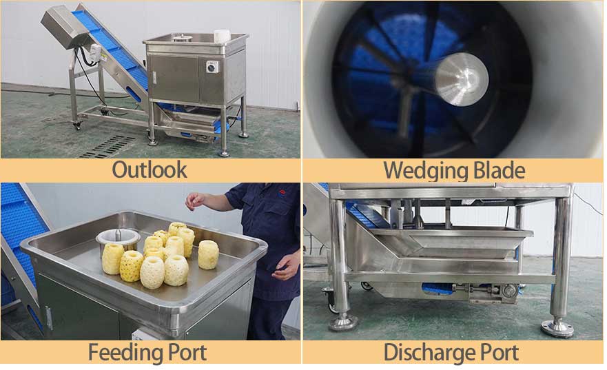 Electric Fruit Vegetable Wedger For Potato Cucumber Onion Lemon Apple