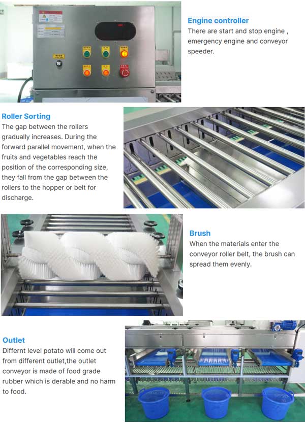 OG-606B Fruit Vegetable Roller Sorting and Grading Equipment