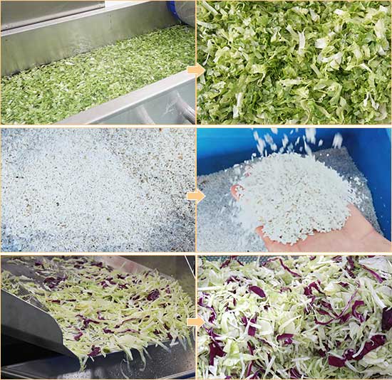 FZHS-450 Continuous Salad Vegetable Centrifuge