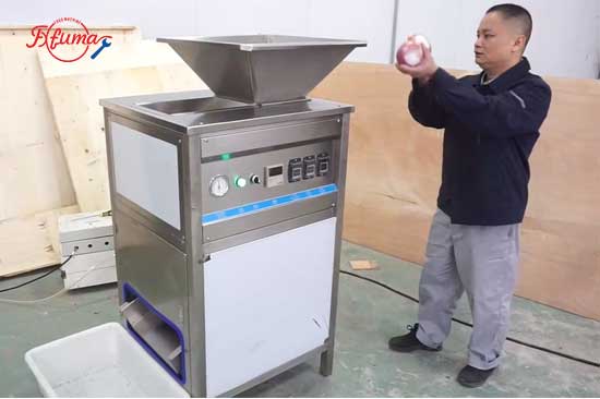 FX-128-3A Onion Peeler Machine - Large Inlet Hopper