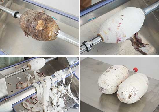 FXP-11 Semi-Automatic Peeler for Vegetable and Fruit