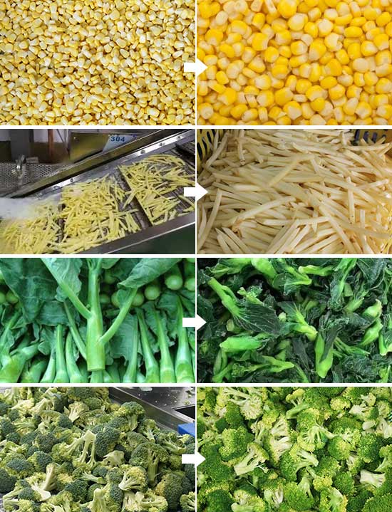 PT-3000 Industrial Vegetable Blancher