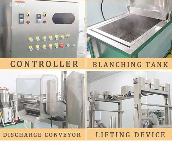 PT-3000 Industrial Vegetable Blancher