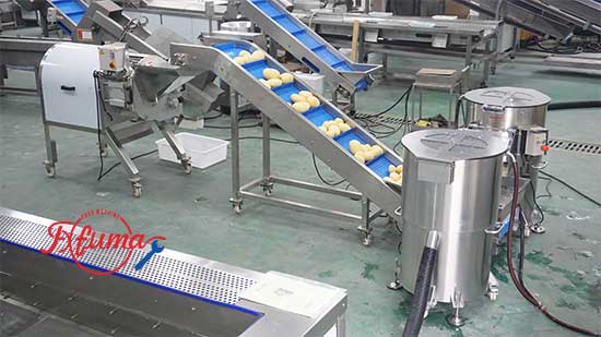 Diced Potato Processing Solution - Washing Peeling and Dicing Machine