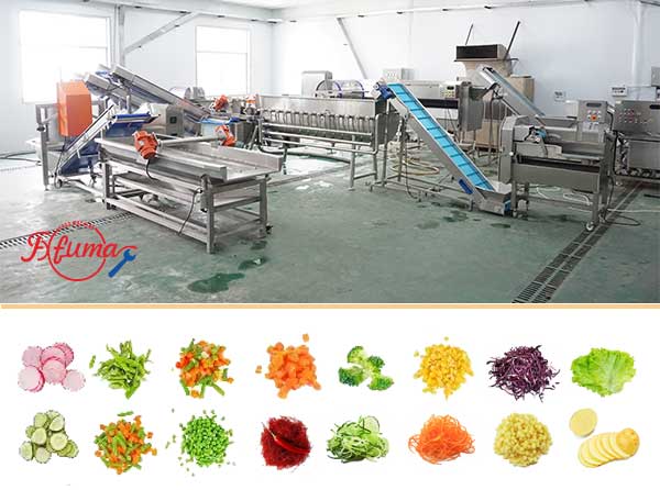 Fresh-Cut Salad Processing Line - Cutter, Washer, Centrifuge