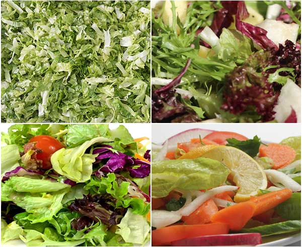 Fresh-Cut Salad Processing Line - Cutter, Washer, Centrifuge