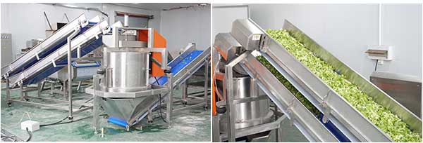 Fresh-Cut Salad Processing Line - Cutter, Washer, Centrifuge
