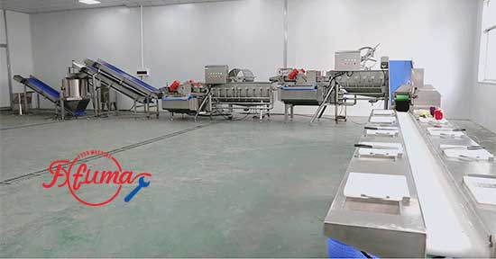 Salad Kits Production Line - Cutter, Double Washer, Centrifuge