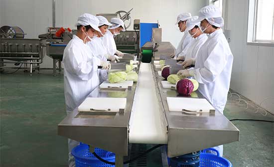 Salad Kits Production Line - Cutter, Double Washer, Centrifuge