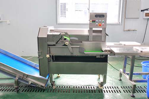 Salad Kits Production Line - Cutter, Double Washer, Centrifuge