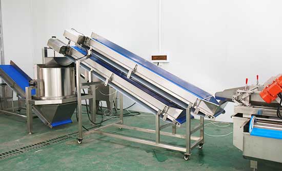 Salad Kits Production Line - Cutter, Double Washer, Centrifuge