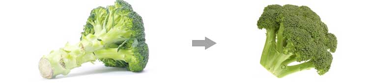 Cauliflower Broccoli Production Line - From Washing to Cutting