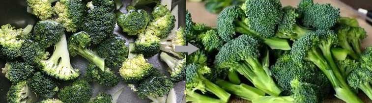 Cauliflower Broccoli Production Line - From Washing to Cutting