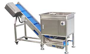 Cauliflower Broccoli Production Line - From Washing to Cutting